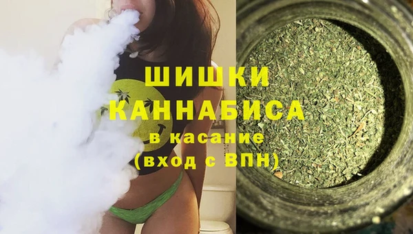 бошки Няндома