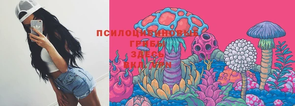 дживик Алексеевка