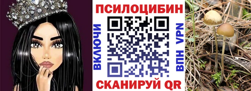 Псилоцибиновые грибы прущие грибы Холм