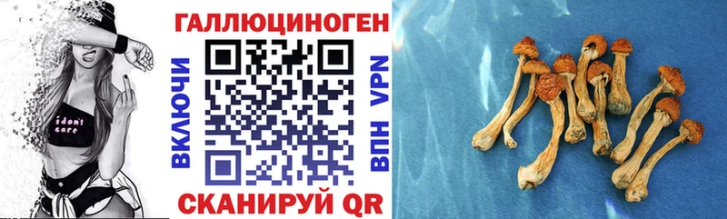 Псилоцибиновые грибы мухоморы маркетплейс как зайти Холм